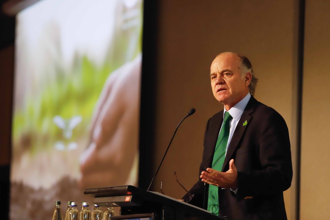 Foto AWP - Seminario de temporada (1)