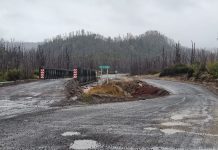Licitan obras de puente El Gringo en Puyehue: inversión supera los 4 mil millones de pesos