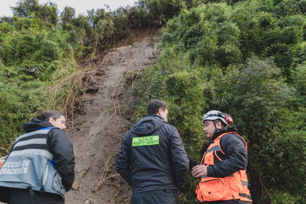 WhatsApp Image 2025-06-12 at 12.52.19 PM