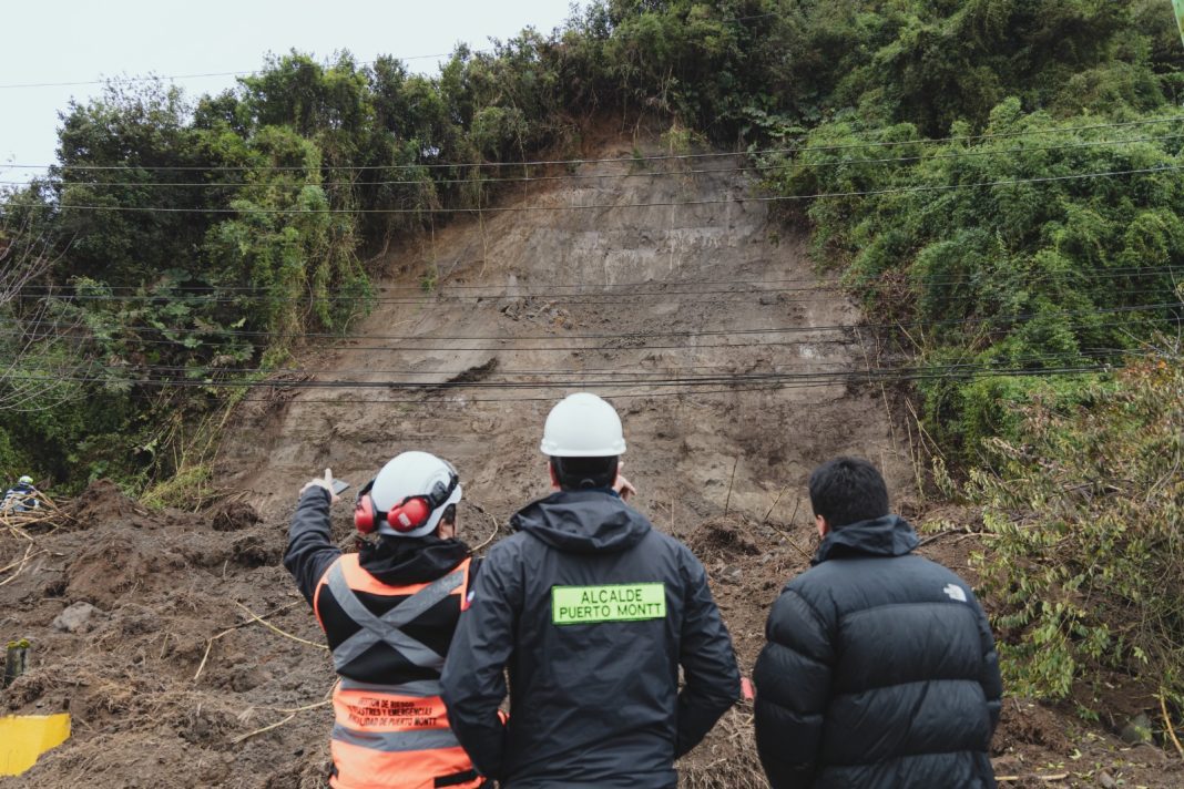 WhatsApp Image 2025-06-13 at 3.33.26 PM