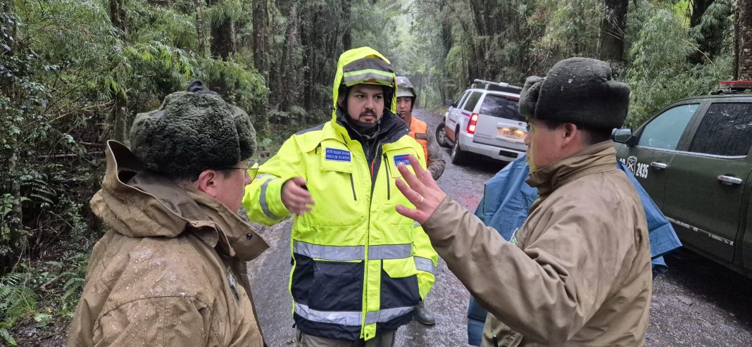 WhatsApp Image 2025-06-24 at 14.16.13