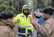 Fiscalía y Senapred continúan búsqueda de adulto mayor extraviado en Puyehue