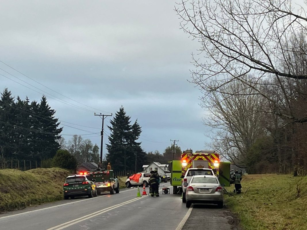 WhatsApp Image 2025-06-25 at 09.52.01