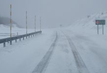 Suspenden por toda la jornada el tránsito por Samoré debido a acumulación de nieve y árbol caído