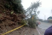 Vecinos de Piedra Azul advierten peligro de deslizamientos: temen tragedia en la Ruta Austral