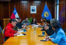 Afinan despliegue interinstitucional para Elecciones Primarias Presidenciales 2025 en Los Lagos