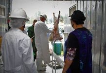 Proponen una planta faenadora en Osorno, tras detención de un agricultor que sacrificó un cordero en su predio