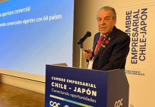 Expresidente Frei: «Lo primero que tenemos que hacer es matar la ley Lafkenche»