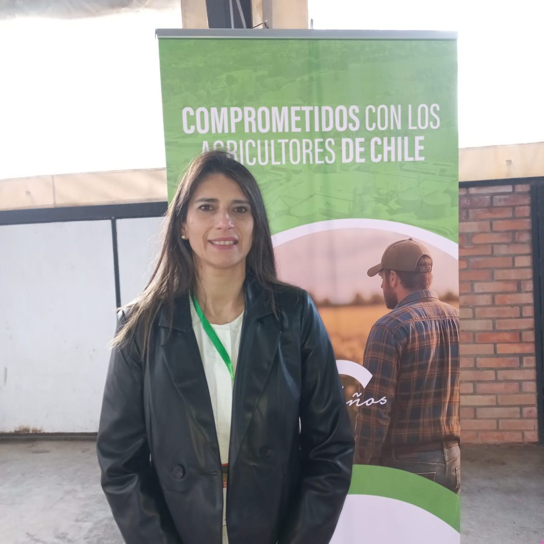 foto empresas gorbea