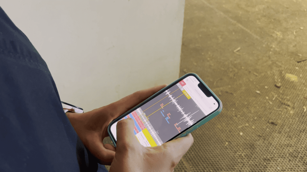 Proyecto "Equify", la inteligencia artificial al servicio del diagnóstico.