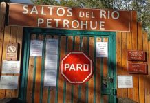 Paro en CONAF impacta al turismo regional y funcionarios piden la renuncia del ministro de Agricultura