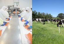 Seminario Agro-Salmón reunirá a exponentes de la zona en el Recinto Sago