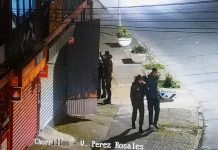 Los pillaron chanchitos: cámaras de seguridad en Puerto Montt permitieron frustrar robo en un local