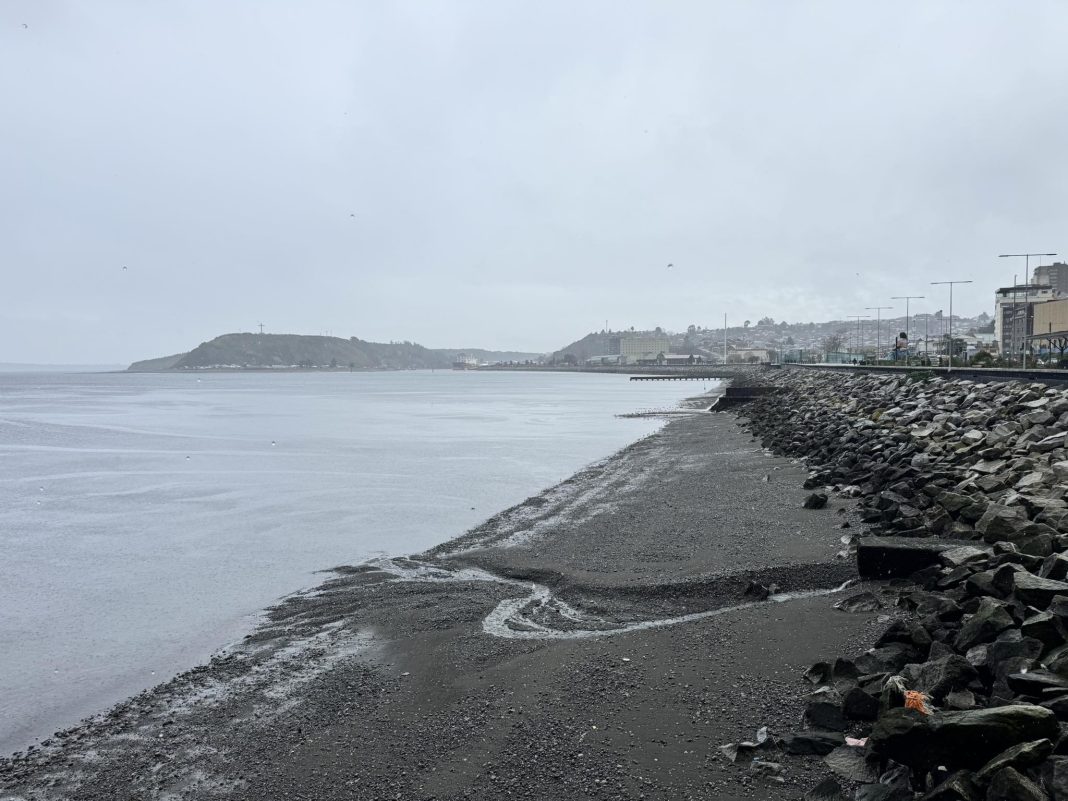 524855878_1170854605076716_7292149098856090017_n