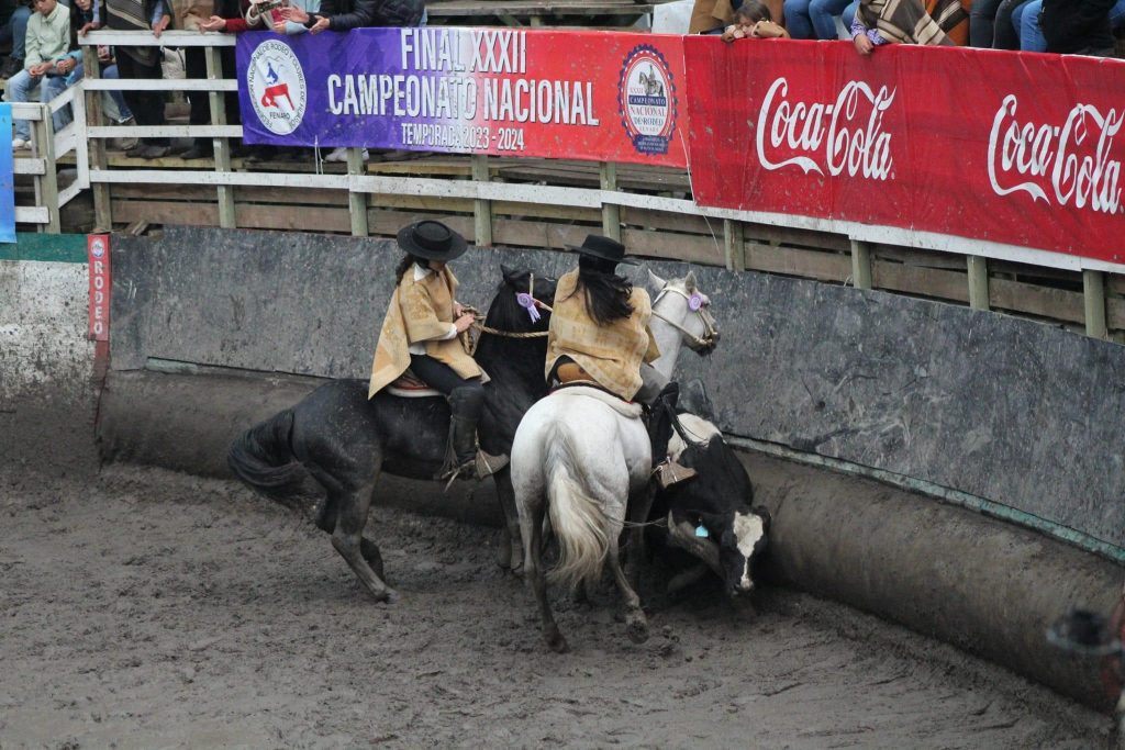 Campeona nacional de rodeo femenino 2024, apuesta ahora al movimiento a la rienda.