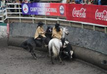 Campeona nacional de rodeo femenino 2024 por sobre todo defiende las tradiciones del campo chileno