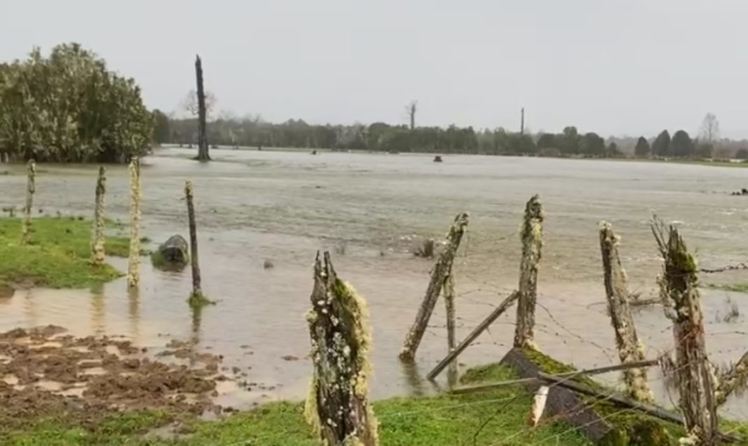 Captura de pantalla 2025-07-29 232519