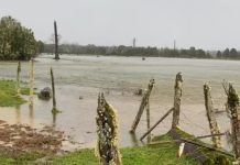 Senapred extiende la Alerta Amarilla a toda la Región de Los Lagos por diversas crecidas de ríos