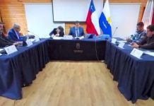 Alcalde y concejales de Calbuco se someterán a test de drogas usando el examen de pelo