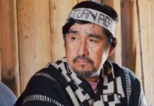 Corte de Valdivia rechaza recurso de amparo de vocero de la CAM imputado por incendio y porte ilegal de armas en Traiguén