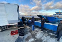 Sernapesca incauta más de 4 toneladas y media de sardina austral tras diversas faltas en procedimiento de desembarque