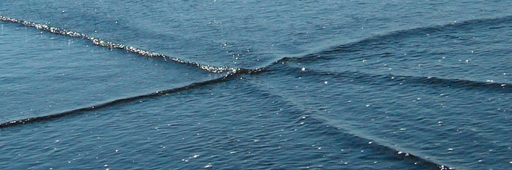Investigadores de la UACH usan modelo matemático para descifrar patrón de las olas en las costas de Chile