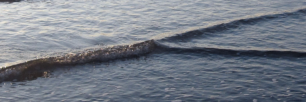 Investigadores de la UACH usan modelo matemático para descifrar patrón de las olas en las costas de Chile