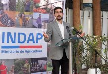 Director Nacional de INDAP luego de su cuenta pública se refiere puntualmente a los avances en Los Ríos y Los Lagos