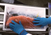 Ministerio de Seguridad Pública anuncia primera cita en la región para abordar robos en la cadena productiva del salmón