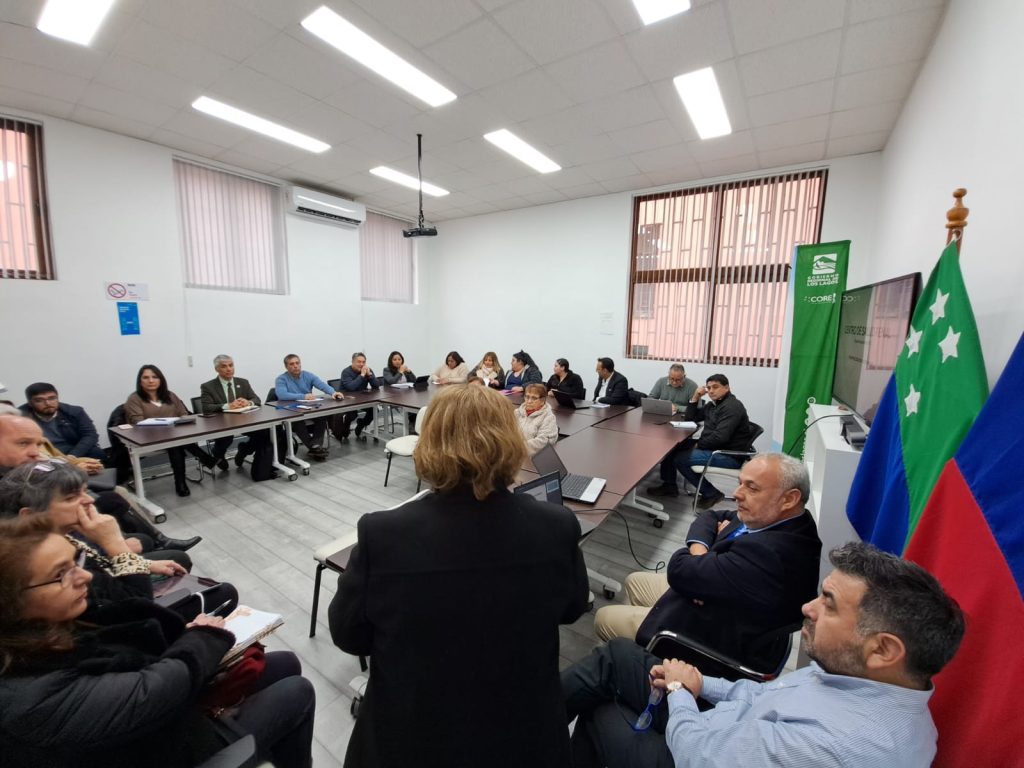 Comisión de Salud del CORE Los Lagos incentiva presentación de proyectos para levantar centros de diálisis municipales