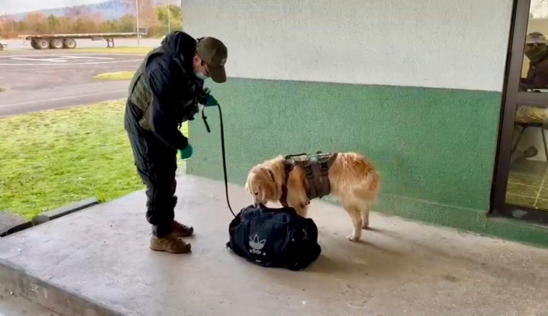 WhatsApp Image 2025-07-03 at 13.23.33