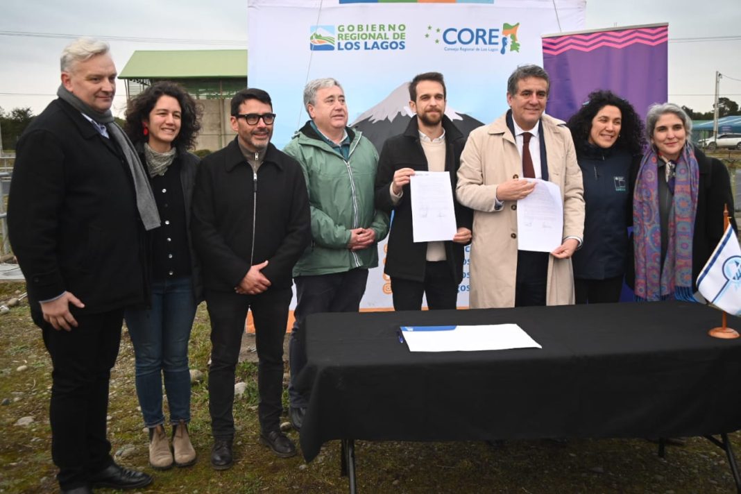 WhatsApp Image 2025-07-04 at 17.48.15