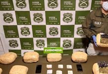 Carabineros del OS7 incauta más de 8 kilos de marihuana en operativo carretero en La Unión