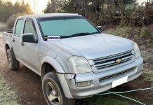 PDI detuvo a hombre por receptación en la comuna de Lago Ranco y recupera camioneta