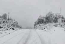 Senapred alerta de temperaturas cercanas a los -10° este fin de semana en Chaitén y Palena