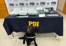 Un detenido y la incautación de 12 kilos de droga deja “Operación Vía Express” en Castro