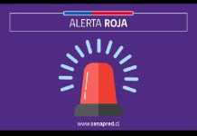 Decretan Alerta Roja en todo el borde costero nacional, insular y antártico por amenaza de tsunami