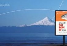 Desde Frutillar hacia el futuro de Chile: Candidatos presidenciales expondrán estrategia país en Salmón Summit