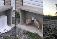 Alertan sobre temperaturas de hasta -4° desde este martes en la Región de Los Lagos