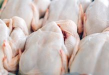 Pollo brasileño sigue vetado en Chile y gremio gastronómico advierte: «Lo van a pagar los consumidores»