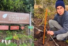Caminando por el parque y ayudado por lugareño: Cómo fue encontrado el joven extraviado en Chiloé