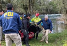 Comunidad huilliche dice que machi nunca debió poner en riesgo a víctimas y que menor tenía movilidad reducida