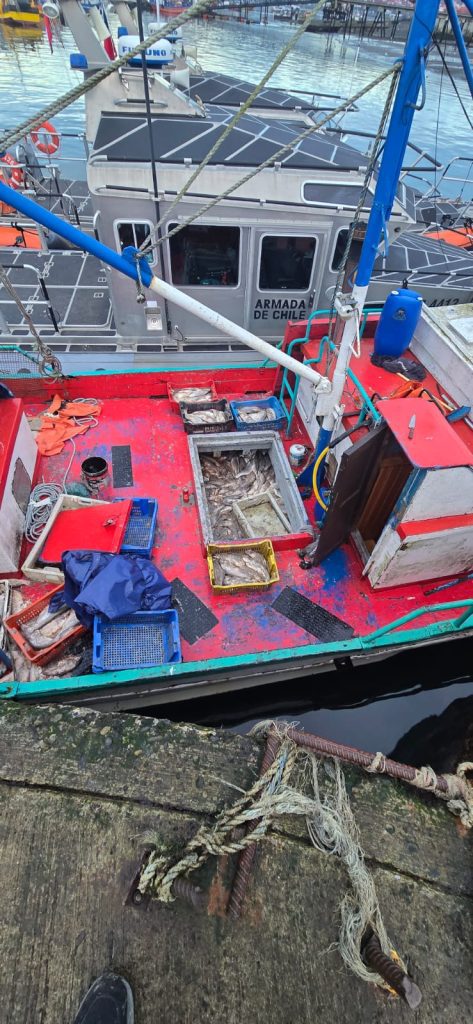 "Operación Marejada”: Armada desarticuló red criminal ligada al robo de salmones en Chiloé y detuvo a 17 implicados