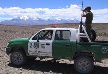 Cinco policías bolivianos y un civil fueron detenidos en la frontera: Causa está bajo reserva