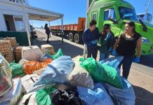 Ingreso ilegal de productos agrícolas: El fenómeno apuntado por la grave irrupción de mosca de la fruta