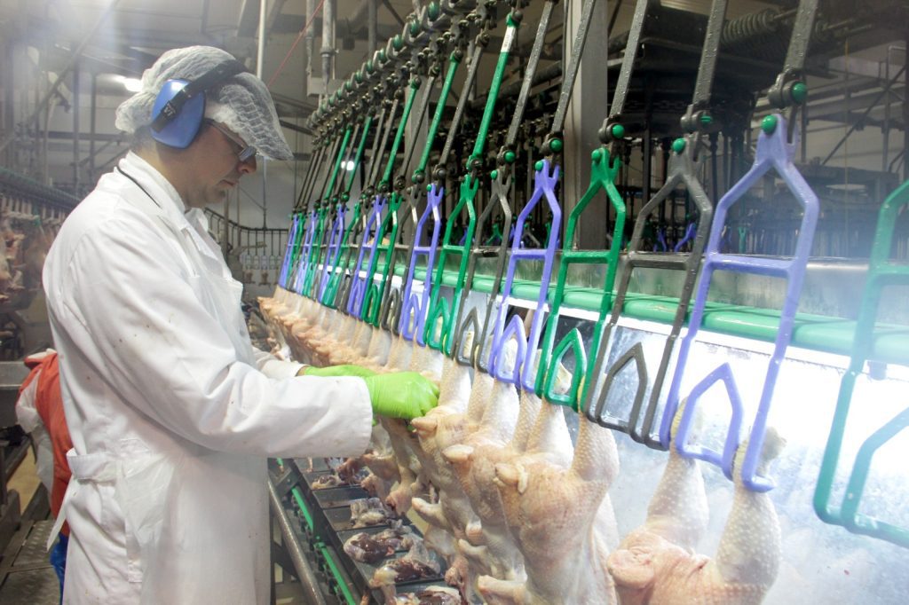 SAG suspende temporalmente importaciones avícolas desde Argentina ante brote de influenza aviar altamente patógena