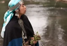 Delegación de defensa del río Pilmaiquén que viajó a Suiza suspende su participación en mediación, pese a estar en Europa