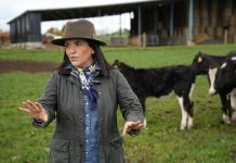 El alma lechera y gremial de Paulina Lobos al frente de la Corporación de Desarrollo del Sur