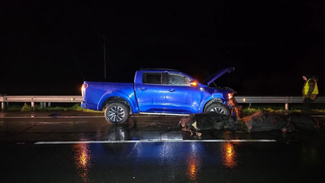 WhatsApp Image 2025-08-02 at 10.20.22