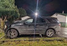 Conductor es sorprendido con marihuana y detenido por cohecho en Llanquihue